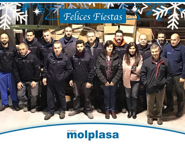 equipo-puertas-molplasa-2